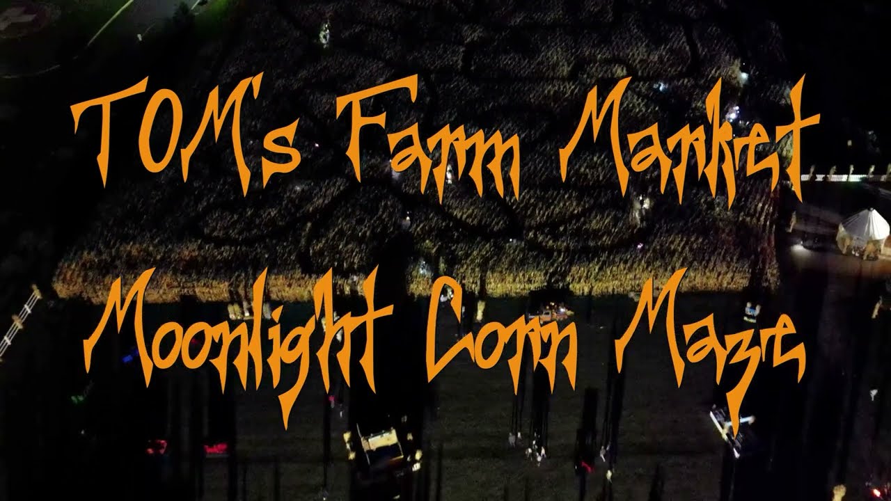 Toms Moonlight Maze