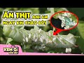 Top 10 Loài Động Vật THÂM ĐỘC NHẤT Hành Tinh: H.Ạ T.H.Ủ Ruột Thịt | Xem Gì Hôm Nay