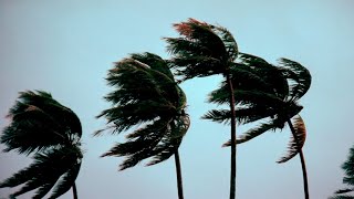 Typhoon Haikui to hit Taiwan as thousands evacuate
