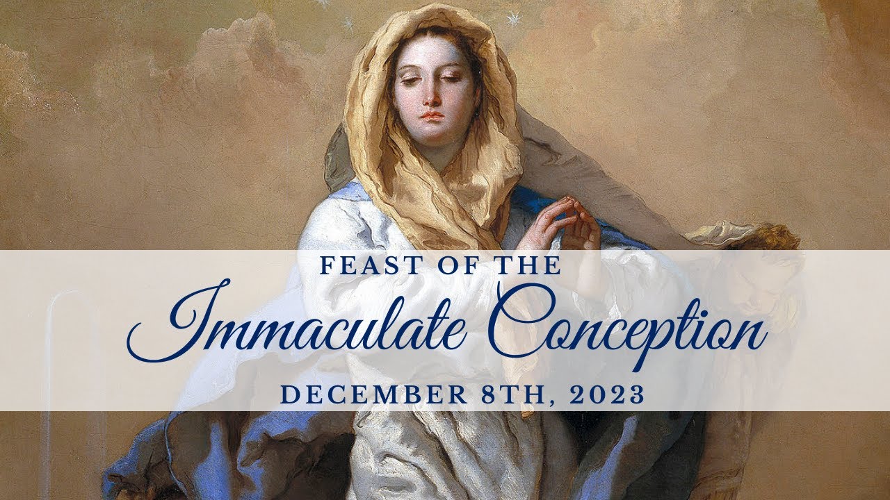 Dec 8, 2023 Feast of The Immaculate Conception SJTW LIVE YouTube