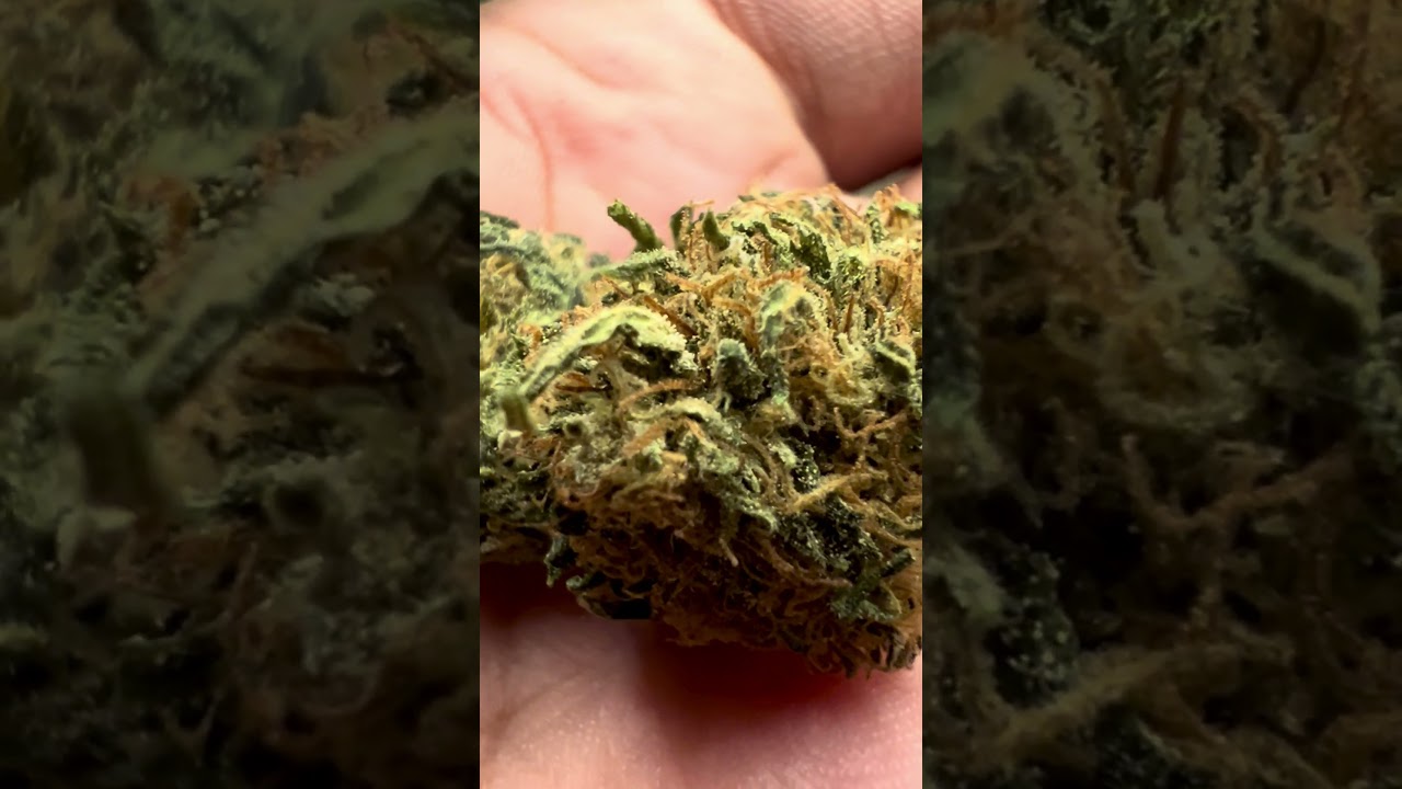 Ripkitty’s Delta 8 Sour Space Candy @ Ripkitty.com