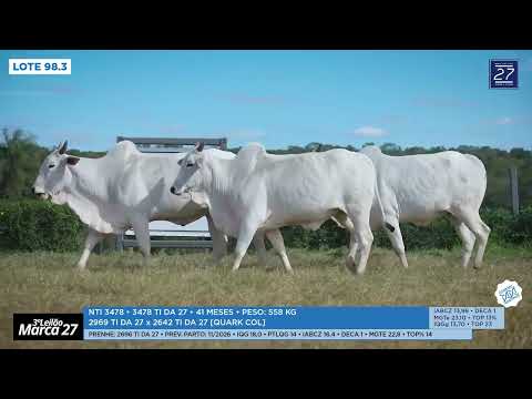 LOTE 98 - NTI 3478, 3543 e 3593