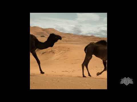 Molella Feat, Devonte - Just love (Molella VIP Remix)