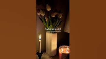 سورة الضحى #اكسبلور #القرآن_حياة #القرآن_الكريم #راحة_نفسية 