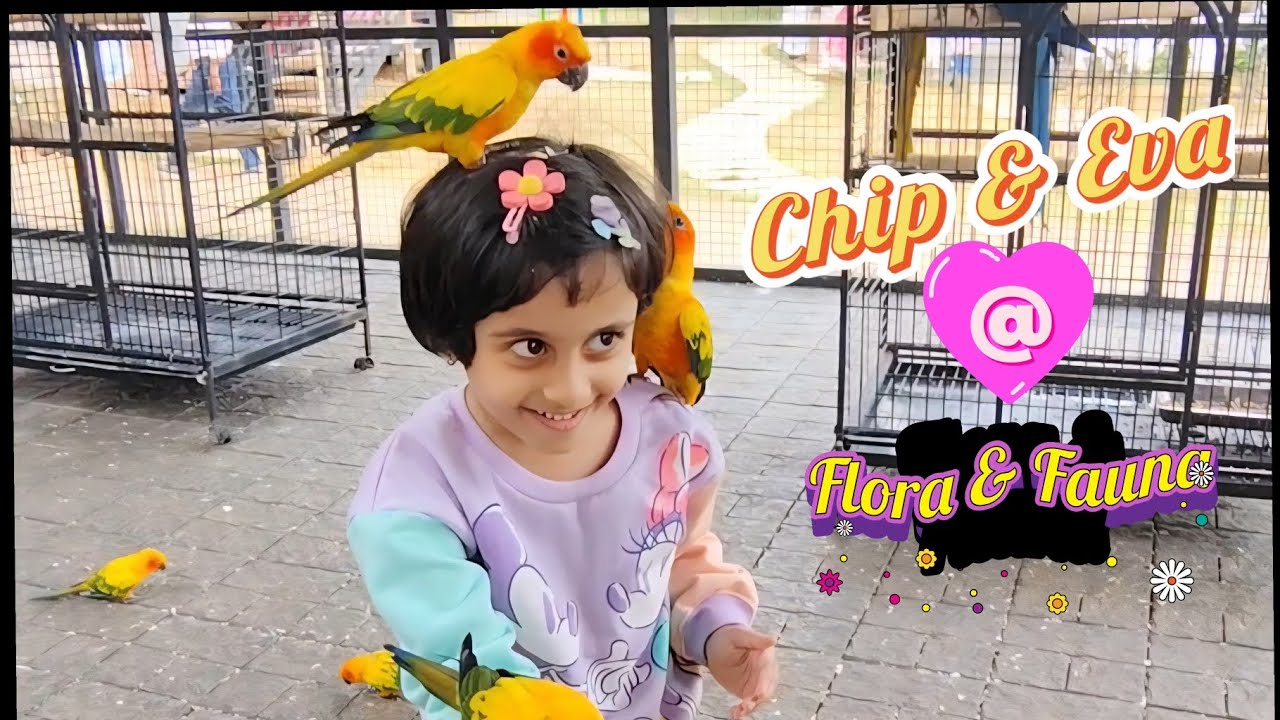 🎶🦜Chip & Eva’s Fun Day at Flora & Fauna Park🦎🌿Kids Explore Parakeets, Macaw, Goats, Iguana & More🐍🐠