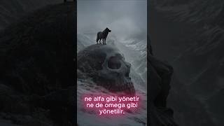 🐺 Kurt Sürüsü Düzeni Ve Av Taktikleri.
