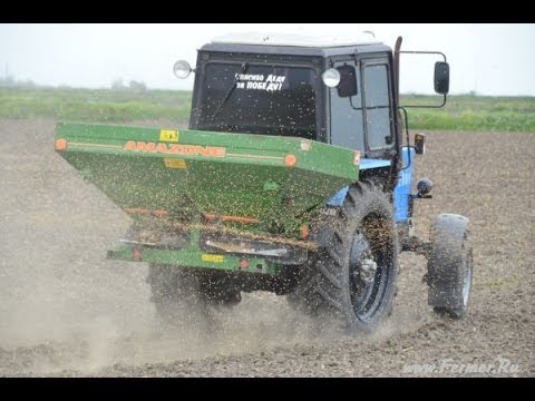 Как выращивают рис в россии