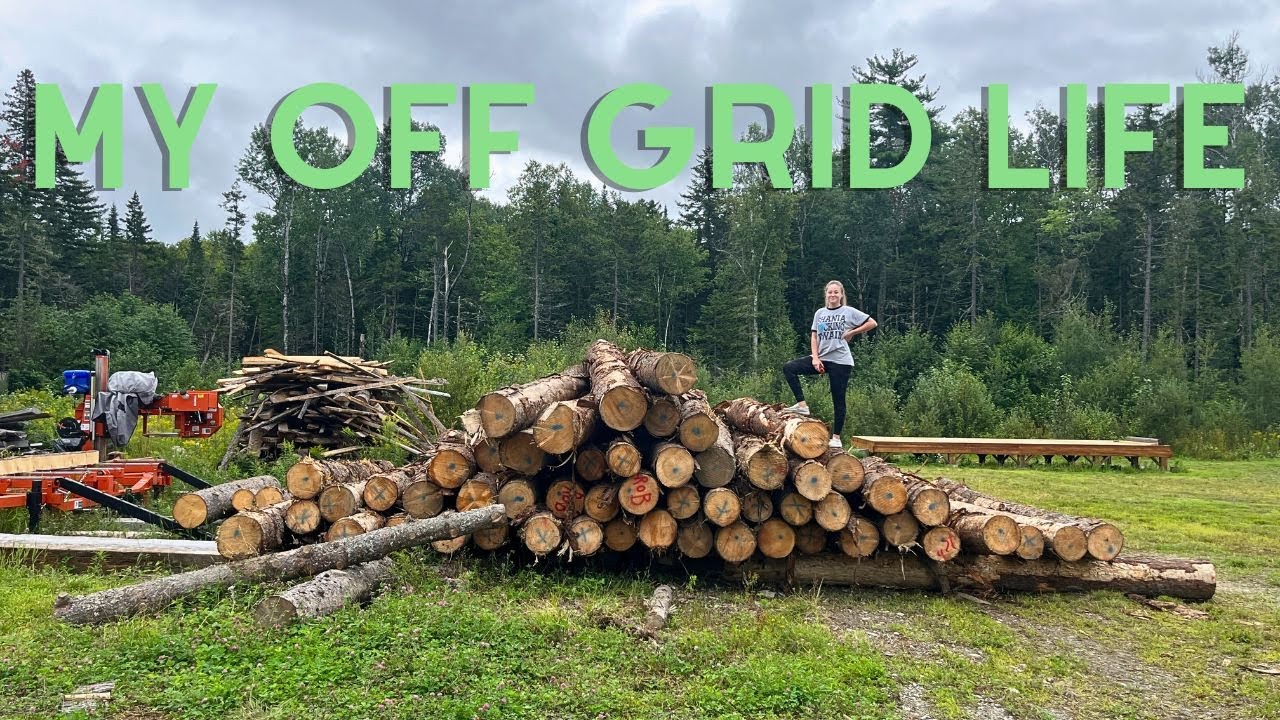Building An Off Grid D Styled Log Cabin in Northern Maine Preparing