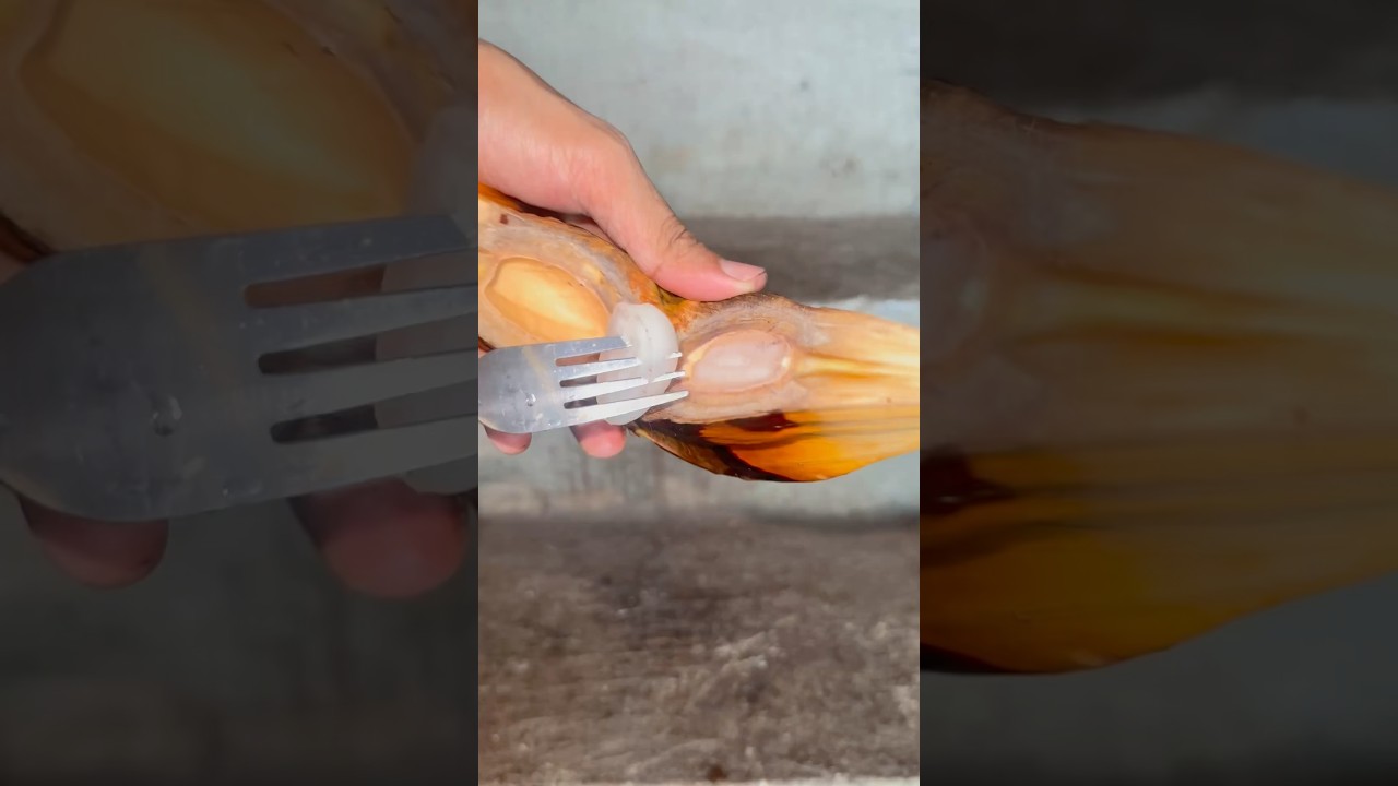 Nipa Palm Fruit Fresh Cutting Skill 