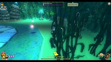 Wizard101: fraps test