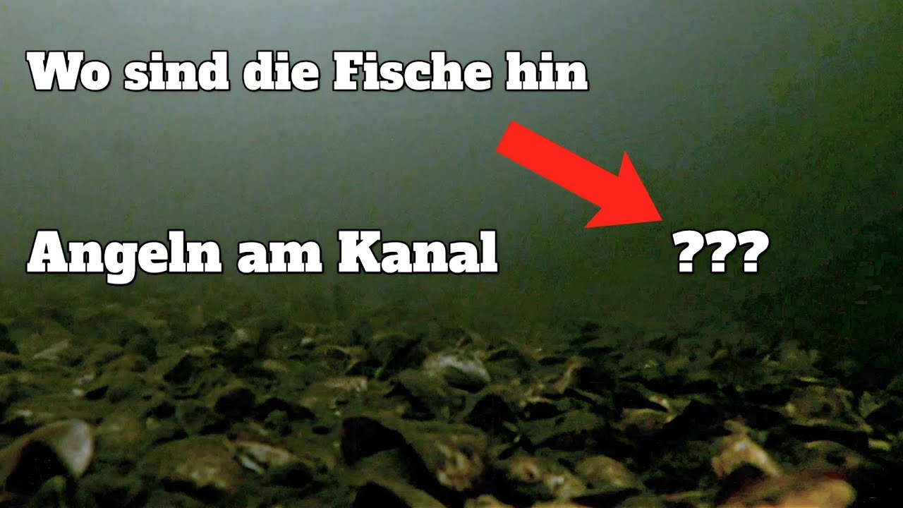 Angeln am Kanal [ Wo sind die Fische??? ]