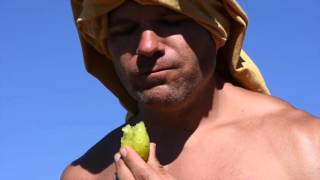 Survival How To Eat Barrel Cactus Fruit In The Wild