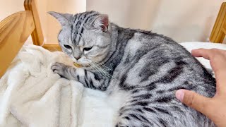 あいちゃんの様子が...