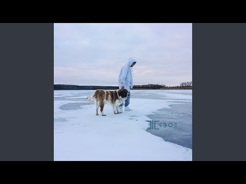 Video: Bežná pika. Šťukový vták: popis, životný štýl, rozmnožovanie a výživa