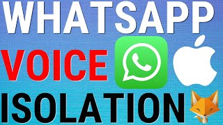 WhatsApp On iPhone: How To Setup Voice Isolation For Calls