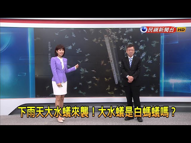 2024/05/14 【早安嘉芬】下雨天大水蟻來襲！大水蟻是白螞蟻嗎？－民視新聞