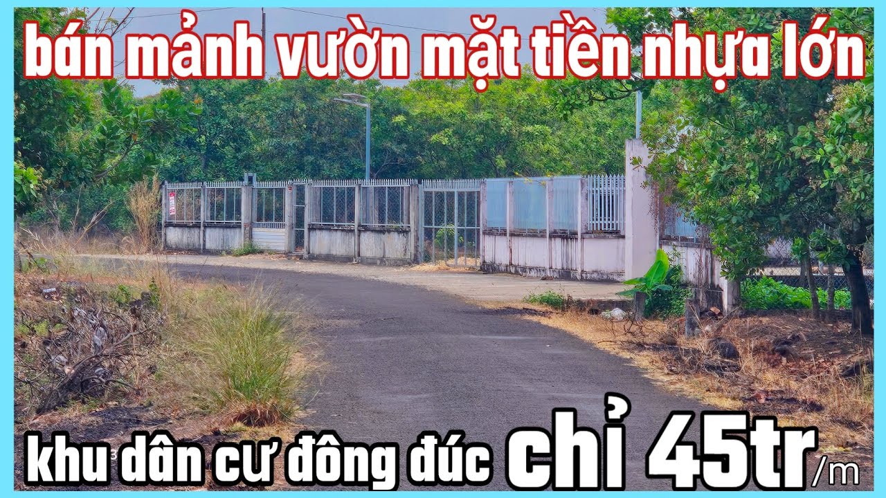 Bán mảnh vườn mặt tiền nhựa lớn dân cư đông 12×86×87 dt 1020,0m² full hồng thổ cư 660m ² giá 550tr 