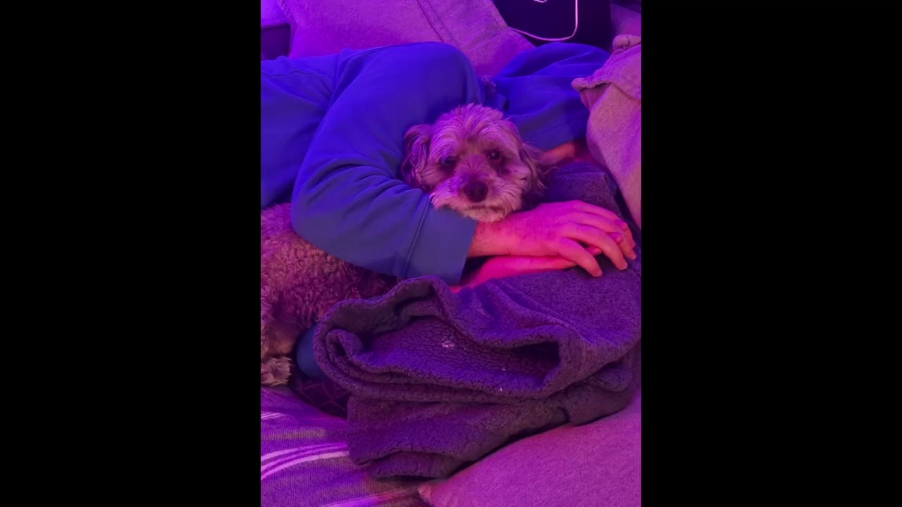 Night Drive - Synthwave Playlist 