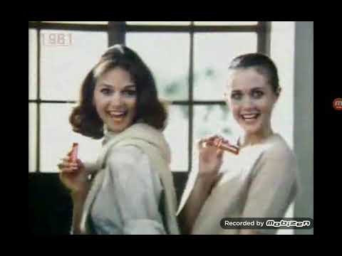 1981 シナモンガム