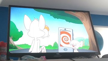 reaction to animaniacs reboot