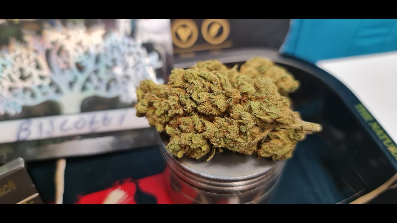 CBD Office -Biscotti CBD Flower Review
