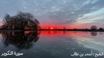 تلاوة فائقة الإبداع والإبهار للشيخ أحمد بن طالب لـ سورة التكوير