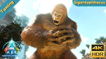 ARK Survival Ascended : Tame a Gigantopithecus