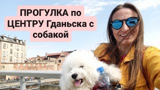 В ГДАНЬСКE гуляем по старому городу с СОБАКОЙ.РАЗВЕЛИ мост. Часть1/Gdańsk Stare Miasto Spacer z psem