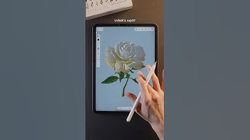 Page to Feather : “Chrysanthemum.” #feather3d #art #3dcg #ipadart #tutorial