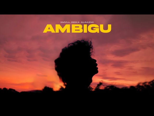 SMVLL - Ambigu class=