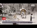 Погода в Україні: у західних та північних областях випав сніг | ТСН Ранок
