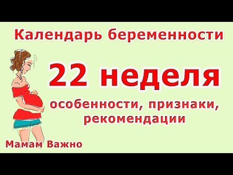 22 неделя беременности: изменения, особенности, рекомендации