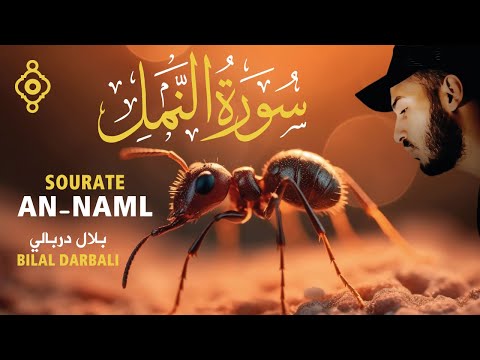 سورة النمل كاملة تلاوة هادئة بلال دربالي Sourate An Naml Bilal Darbali Récitation Relaxante L
