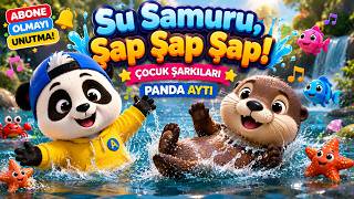 🦦 Su Samuru, Şap Şap Şap! | Çocuk Şarkıları | Panda Ayti