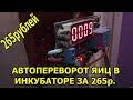 ЭЛЕКТРИЧЕСКАЯ ЧАСТЬ ДЛЯ АВТОПЕРЕВОРОТА ЯИЦ ЗА 265р (БЕЗ ДВИГАТЕЛЯ)