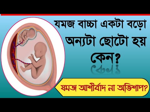 ভিডিও: একটি জমজ কত লম্বা?