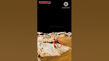 Alien on Mars #universe #planet #alien