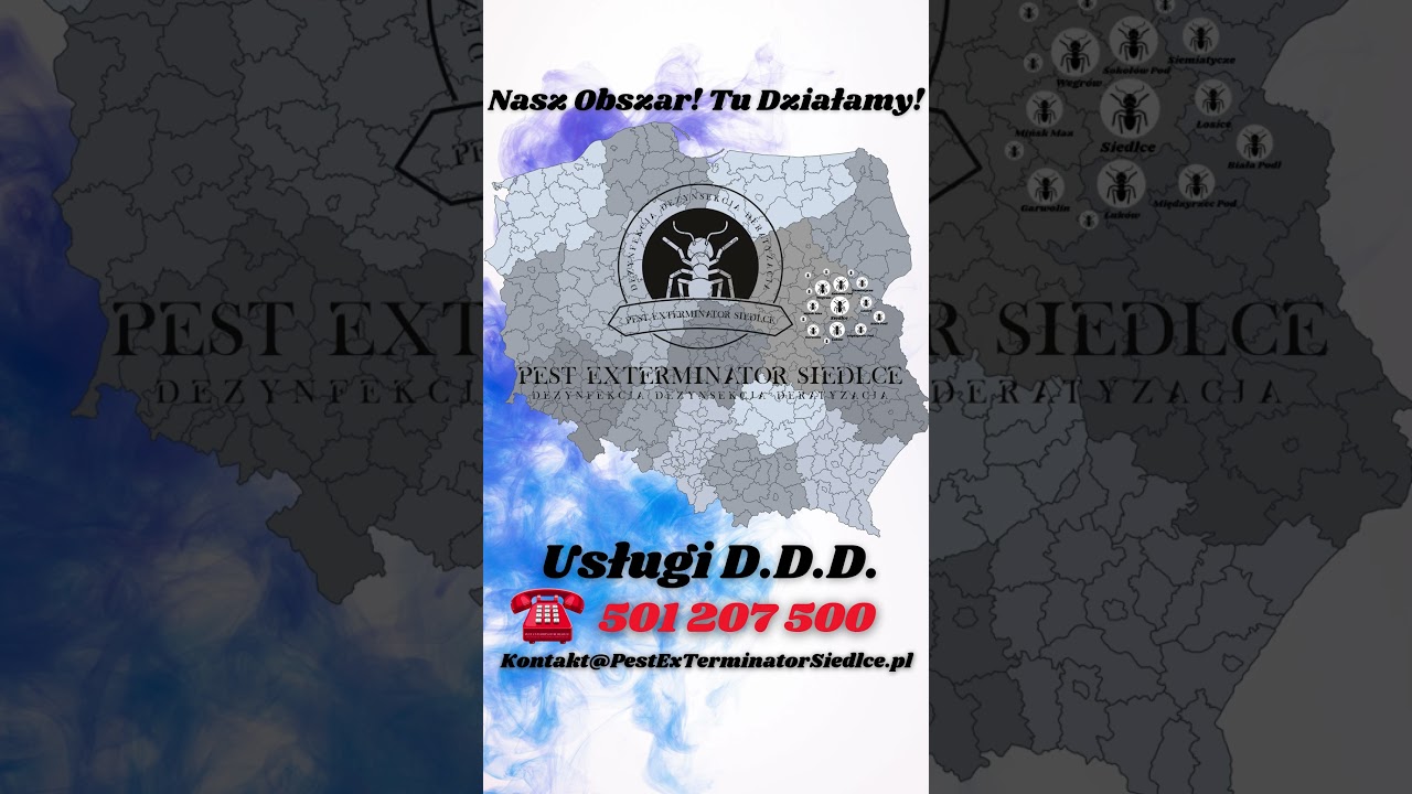 Pest ExTerminator Siedlce