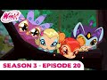 Winx Club - Season 3 Episode 20 - The Pixies' Charge - [FULL EPISODE]