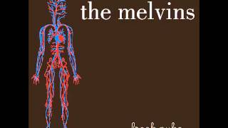 Melvins - A Growing Disgust chords