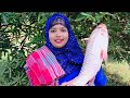 Fish recipe   2kg      village food mahi kitchen 9