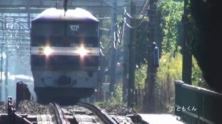 東海道本線 大垣-醒ヶ井 2015/10撮影 EF210