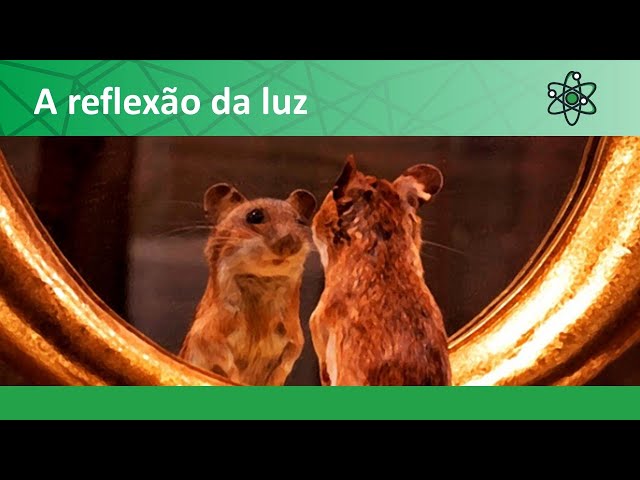 A Velocidade da Luz e o Ano-luz - Planos de aula - 9º ano