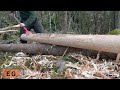 Debarking Logs with Bark Spade and Drawknife | 2.0 | - One Man Traditional Log Cabin series
