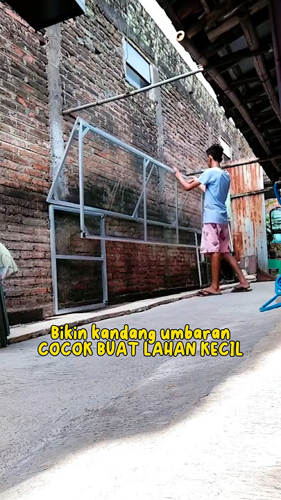 Kandang umbaran minimalis, cocok buat lahan kecil #shorts