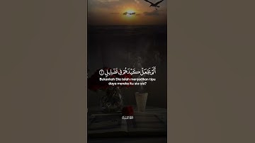 سورة الفيل بصوت رائع