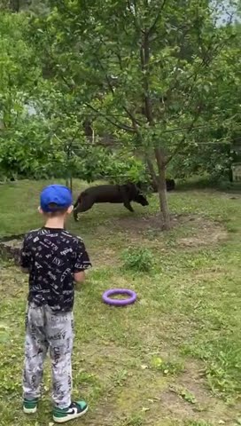 youtube.com