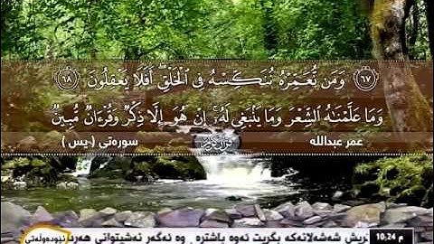 قراءة مبكية للقارئ الشيخ عمر عبدالله-سورة (يس)