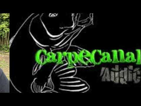 Montage carpe robuste et efficace by carpecanal