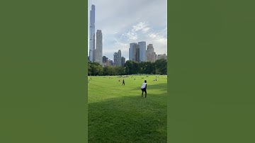 Thumbnail of The Best View In NYC | Central Park Sheep Meadow